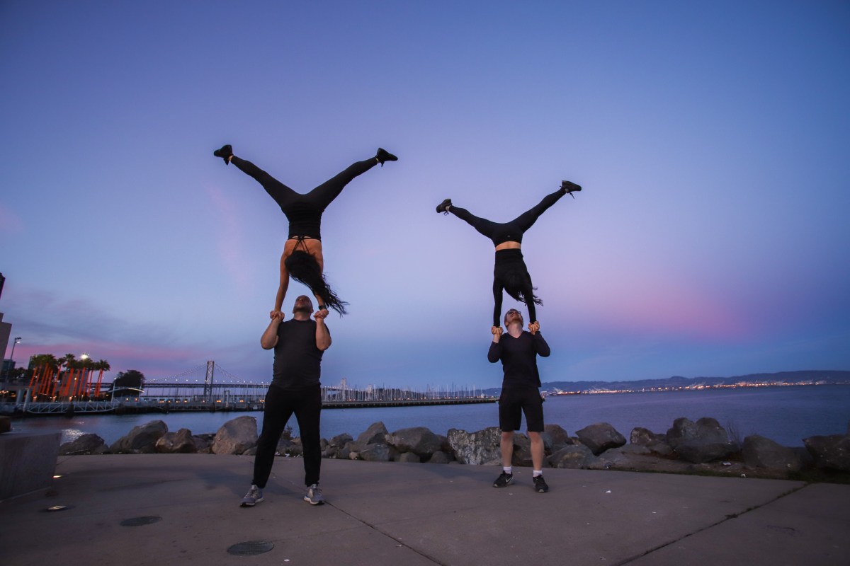 Zacroyoga Brand Kit And Logos