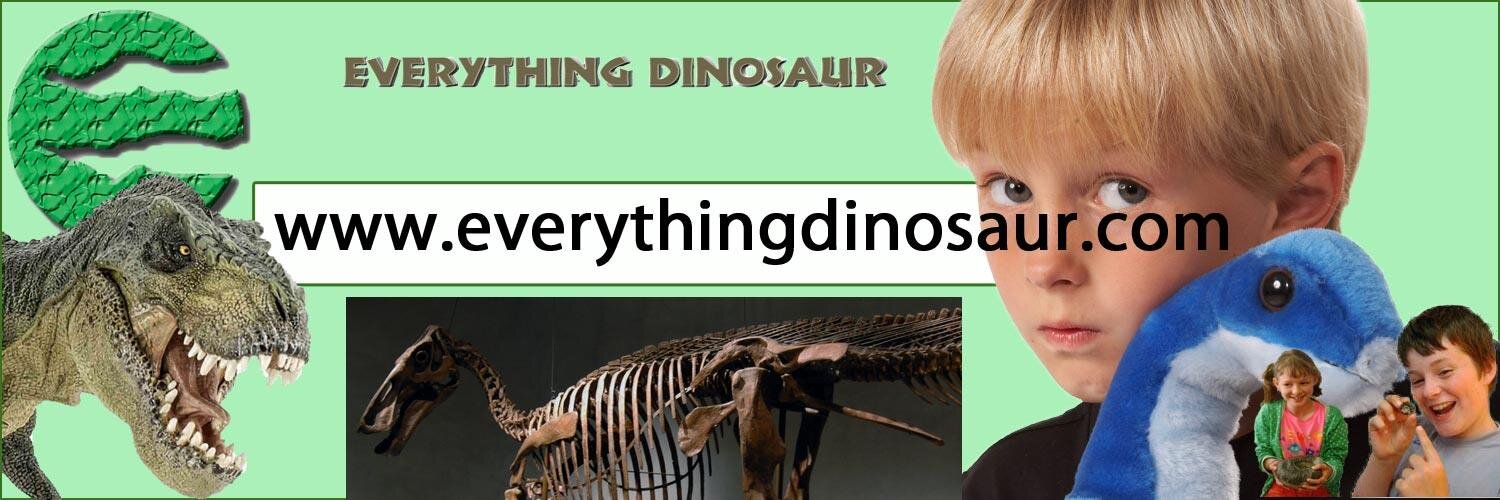 Everything Dinosaur Brand Kit And Logos