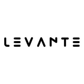 Levante Web Agency Brand Kit And Logos