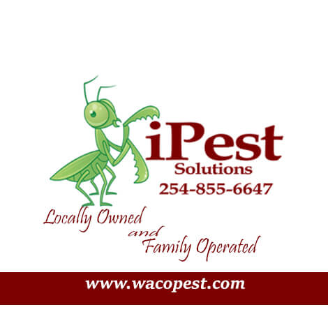 San Antonio, College Station Pest Control | IPest Brand Kit And Logos