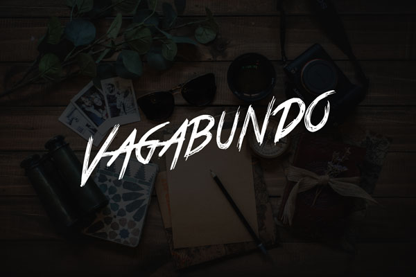 Vagabundo Brand Kit And Logos