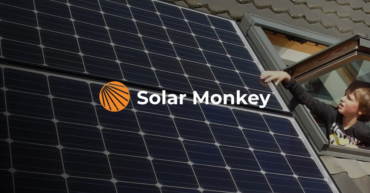 Solar Monkey Brand Kit And Logos