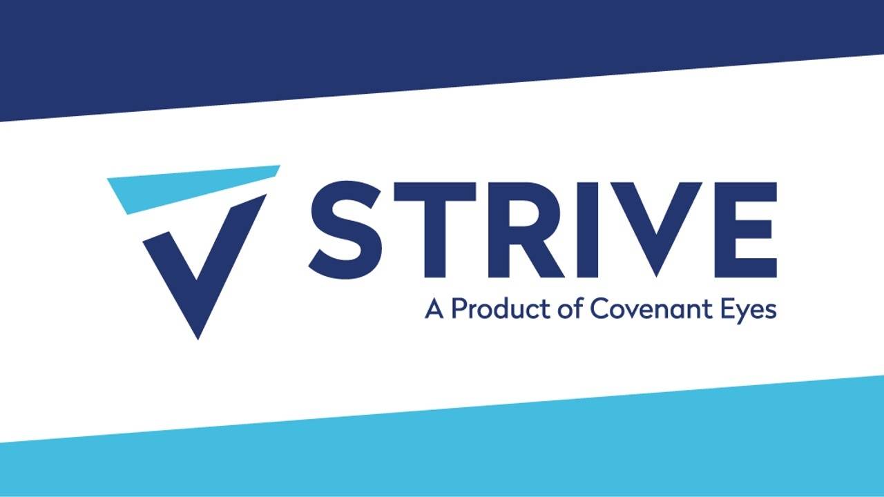 Strive21.com Brand Kit And Logos