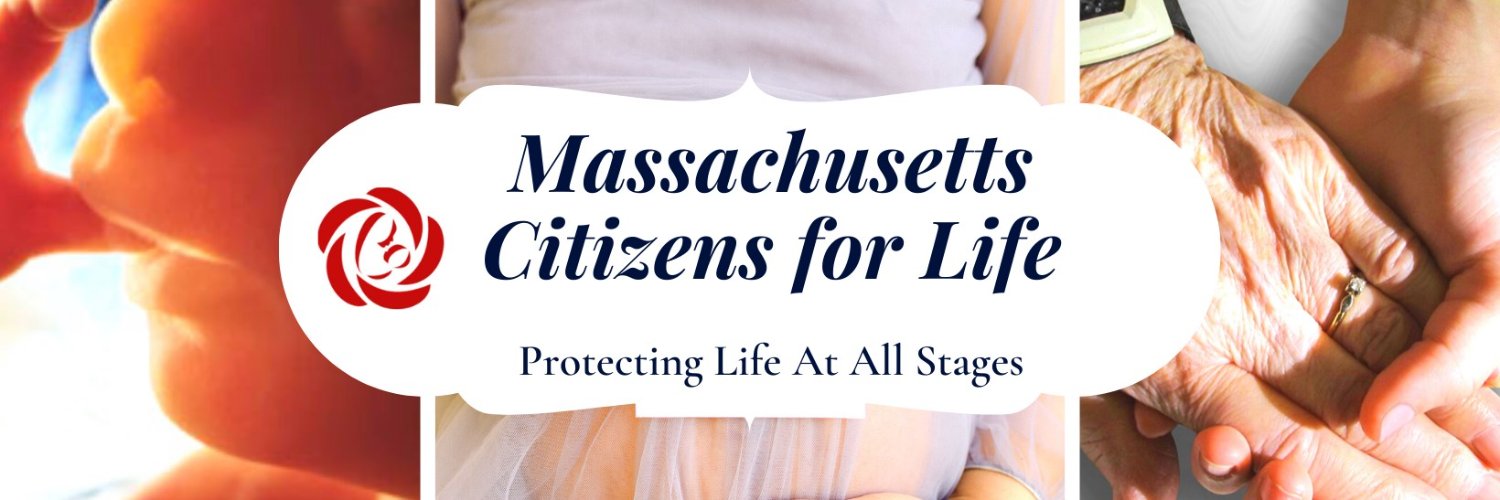 Massachusetts Citizens For Life Brand Kit And Logos