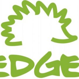 Greenhedgehog Brand Kit And Logos