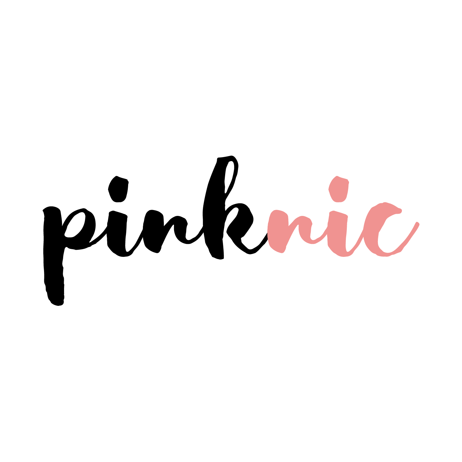 Pinknic Brand Kit And Logos