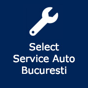 Service-Auto-Bucuresti.ro Brand Kit And Logos