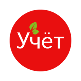 Портал "Учёт" Brand Kit And Logos